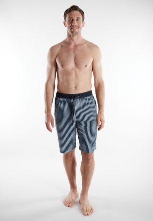 Tom Tailor Bermudas TOM TAILOR, Herren, Gr. 48, N-Gr, blau, mittel, streifen, Single Jersey, Obermaterial: 100% Baumwolle, Hosen Bermudas