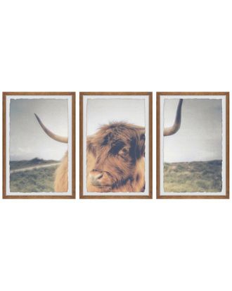 Marmont Hill Cows Eye View Triptych