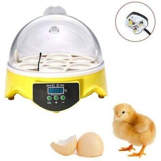 OEM Incubadora Autom&aacute;tica De Huevos De Aves De Corral, Juego De 7 Piezas, Incubadora De Aves De Corral Con Control De Temperatura