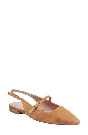 Linea Paolo Celeste Slingback Pointed Toe Flat in Caramel at Nordstrom Rack, Size 5