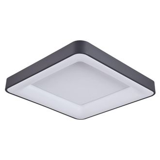 Netlighting Modern LED Flush Ceiling Light Black Warm White 3000K 2750lm Dimmable