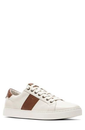 Rodd & Gunn Endeavour Cruise Sneaker in Chalk at Nordstrom, Size 43