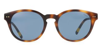 Polo Ralph Lauren PH4241F Asian Fit 608980 Mens Sunglasses Tortoiseshell Size 52