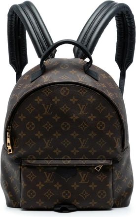 Louis Vuitton 2015 Monogram Palm Springs MM backpack - Bruin