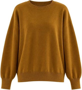 Replay Trui met boothals - Dames - Ronde hals truien - Bruin - S - Polyester - Truien & Vesten
