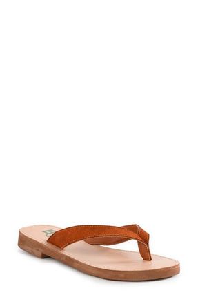 BC Footwear Deliah Flip Flop in Rust at Nordstrom, Size 7.5