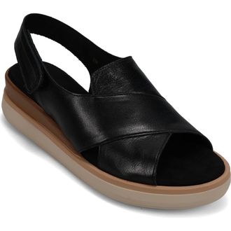 Vaneli Hydra Slingback Sandal in Black at Nordstrom, Size 7.5