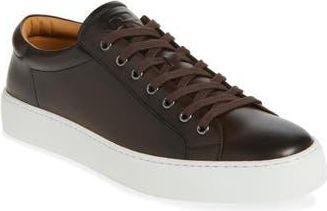 Ralph Lauren Purple Label Severn Low Top Sneaker in Eng Brown at Nordstrom Rack, Size 7