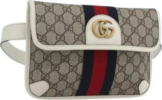 Gucci Pre-owned Belt Bags, female, Multicolor, Size: ONE SIZE Pre-owned Plastic Belt Bag