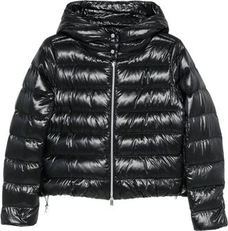 Herno Padded Hooded Coat