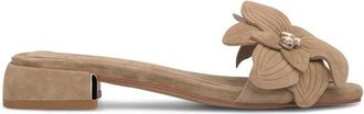 Alma En Pena Haksandaal met Bloemdetail Voorkant - Dames - Muiltjes - Beige - 38 EU - Schoenen