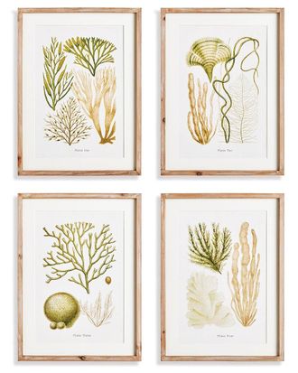 Napa Home & Garden Set Of 4 Verdant Coral Study