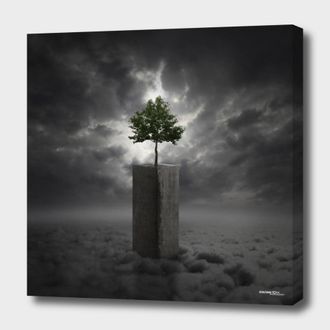 Curioos Against All Odds