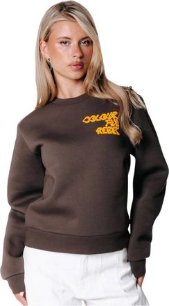 Colourful rebel Logo Wave Relaxed Sweat - Dames - Sweatshirts & Hoodies - Bruin - Maat: M Katoen