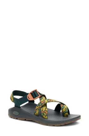 Chaco Z/Cloud 2 Sandal in Pebble Greenery at Nordstrom, Size 10