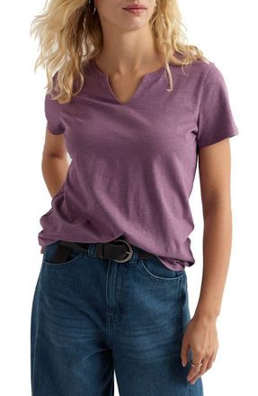 Seasalt Cornwall Kellow V-Neck Organic Cotton T-Shirt in Verbena at Nordstrom, Size 14 Us