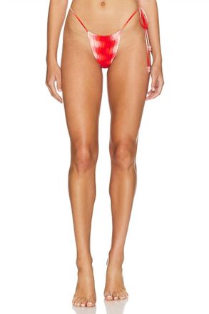 Devon Windsor Livia Bikini Bottom In Raspberry Rose