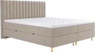 Mirjan24 Mobilier1 - Cama Continental Comfidream 156, Fresh 01, Doble, Continental, 180x200, Tapiz, Somieres, 188x210x118cm