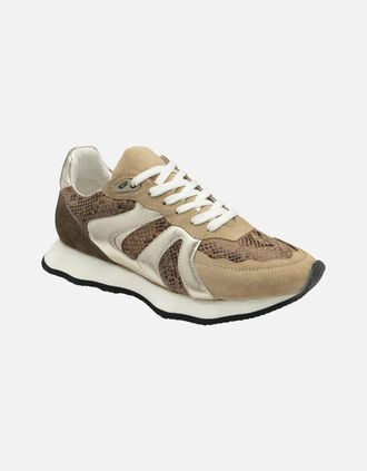 Ravel Womens Innes Womens Trainers - Tan - Size: 6