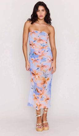 Minkpink Sunspell Mesh Midi Dress In Watercolor Floral