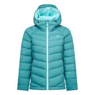 Dare 2B Dare 2B Dames/Dames Torrek Gewatteerd Jasje (Teal)