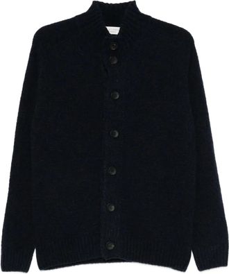 FILIPPO DE LAURENTIIS Cardigan con bottoni - Blu