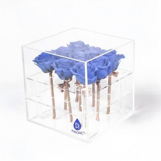 Pursonic 9 Preserved Roses in Acrylic Box in Blue at Nordstrom