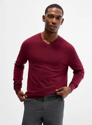 Le 31 Mens Minimalist V-neck sweater