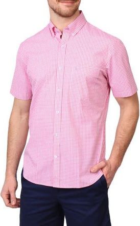 Tailorbyrd Gingham Short Sleeve Stretch Cotton Button-Up Shirt in Rose Pink at Nordstrom Rack, Size Xx-Large