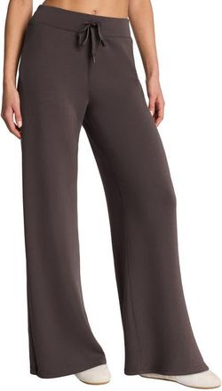 Spanx AirEssentials Pull-On Wide Leg Pants in Dark Cacao at Nordstrom, Size 2X