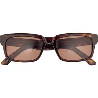 Balenciaga 55mm Square Sunglasses in Havana Havana Brown at Nordstrom Rack