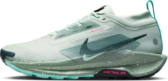 Nike Mens Pegasus Trail 5 GORE-TEX Waterproof Trail Running Shoes in Grey | FQ0908-013