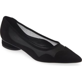 Koko + Palenki Shelby Pointed Toe Flat in Black Suede at Nordstrom, Size 10