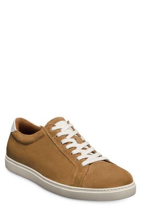 Allen Edmonds Courtside Sneaker in Fawn at Nordstrom, Size 11.5