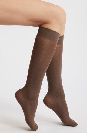 High Heel Jungle Maria Floral Lace Knee High Socks in Brown at Nordstrom