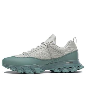 Reebok Dmx Trail Shadow Grey Green GY5614