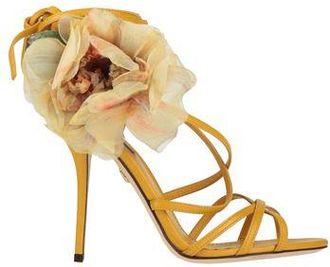 Dolce & Gabbana Sandals