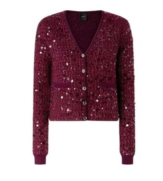 Pinko Sweaters Brown