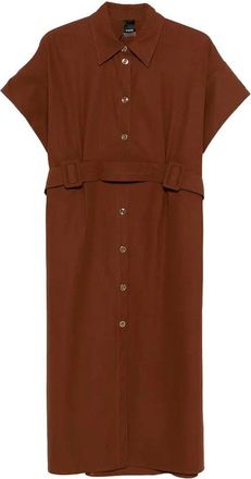 Pinko Brown Alesha Dress