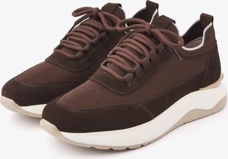 Gentiluomo Sneakers Minotti | Donkerbruin