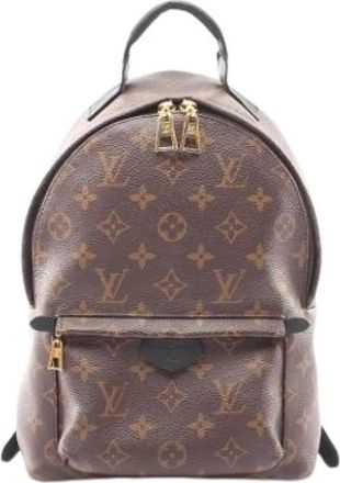 Louis Vuitton Pre-owned Palm Springs Backpack PM - Dames - Vintage Rugzakken - Bruin - ONE Size - Leer - Vintage
