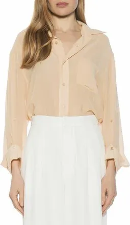 Alexia Admor Atticus Sheer Button Up Shirt in Beige at Nordstrom Rack, Size X-Small
