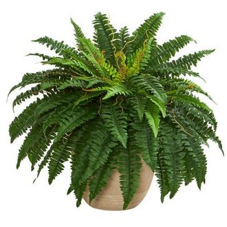 Nearly Natural 22-in Boston Fern Artificial Plant in Sandstone Planter in Green at Nordstrom