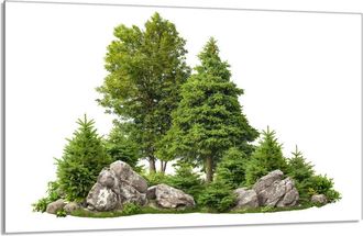 OEM Protector De Cristal Para Encimera De Cocina 80x52 &Aacute;rboles