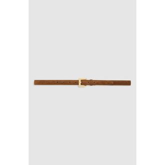 Anine Bing Nicola Belt in Tobacco at Nordstrom, Size X-Small