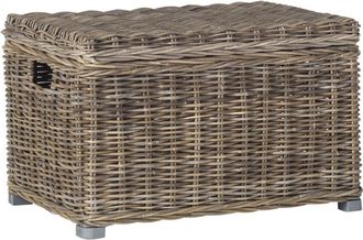 Safavieh Mikasi Trunk