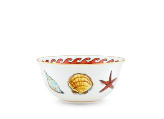 Ginori 1735 el Viaje de Neptuno - Idea C&uacute;pula cm 17 cc 900