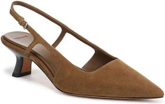 Vince Bianca Slingback Pointed Toe Pump in Elmwood at Nordstrom, Size 5.5