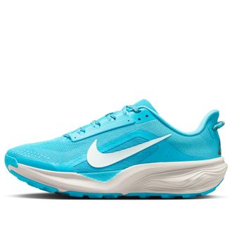 Nike ACG Pegasus Trail Baltic Blue Summit Blue HV8116-400