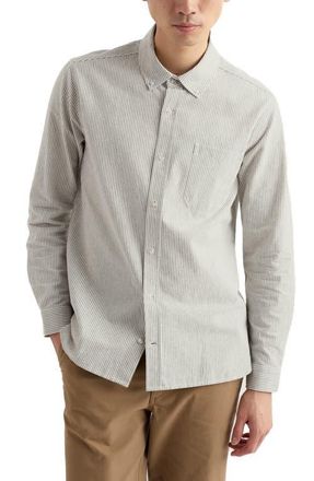 Seasalt Cornwall Jenken Stripe Organic Cotton Button-Down Oxford Shirt in Woodchopper Creek at Nordstrom, Size Xx-Large